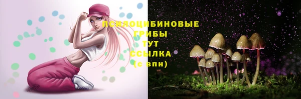 ГАЛЛЮЦИНОГЕННЫЕ ГРИБЫ Абинск