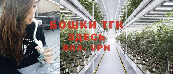 шишки Алексин
