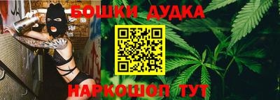 крисы Лесосибирск
