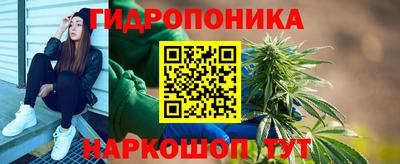 крисы Лесосибирск