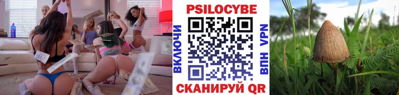 Псилоцибиновые грибы Magic Shrooms  Хасавюрт 