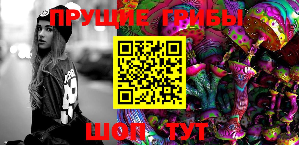 Хасавюрт  Псилоцибиновые грибы Psilocybe  сколько стоит  Вход с VPN  Галлюциногенные грибы прущие грибы 